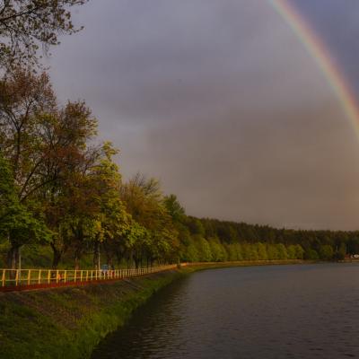 Zalew Rejów