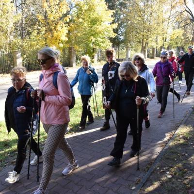 Rajd Nordic Walking